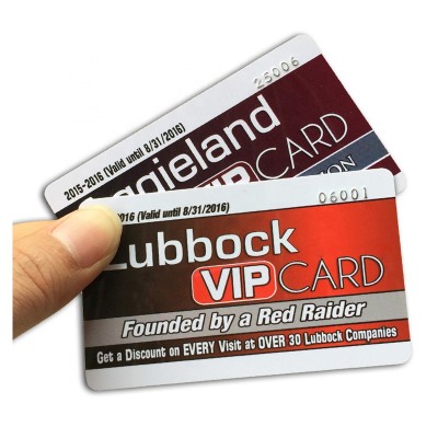 Custom Logo Printing Plastic PVC Lions Eff VIP Club Membership Cards